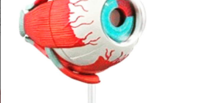 Porque Duele Los Globos Oculares